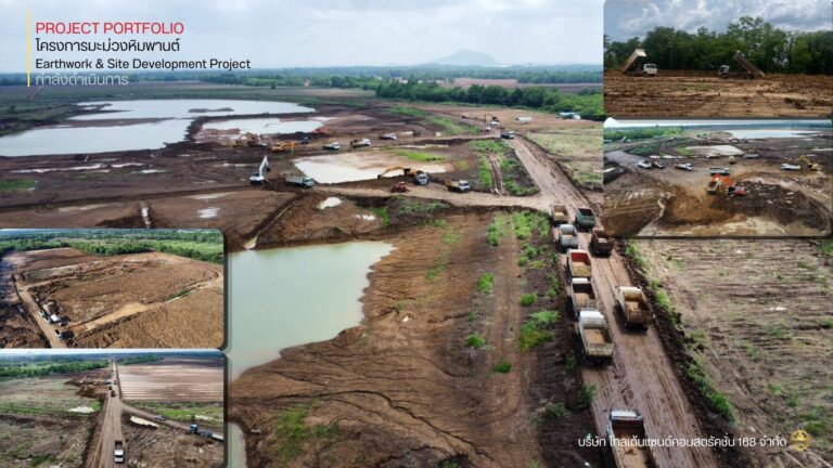 โครงการมะม่วงหิมพานต์